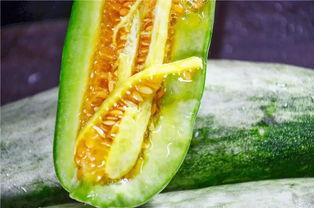 吃瓜视频的网红,揭秘吃瓜视频网红的爆红之路  第3张